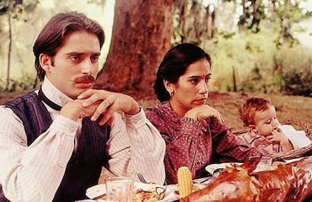 Histórias de amor e paixão no cinema 2 O Quatrilho é um filme brasileiro que está entre as muitas histórias de amor e paixão no cinema