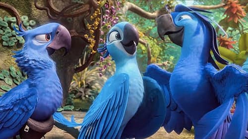 Presença do Brasil na cinematografia mundial 3 Rio