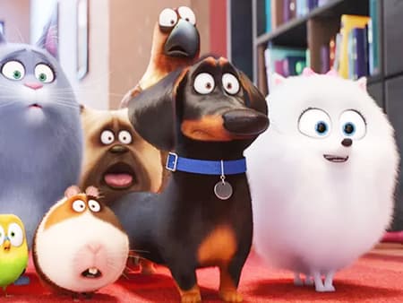 Filmes sobre cães e gatos que educam e divertem 7 A vida secreta dos bichos
