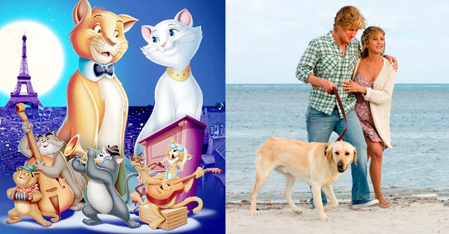 Filmes sobre cães e gatos que educam e divertem 1 Filmes sobre cães e gatos que educam e divertem em destaque