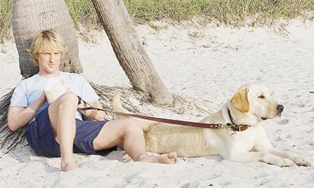 Filmes sobre cães e gatos que educam e divertem 4 Marley e Eu faz parte dos filmes sobre cães e gatos que educam e divertem