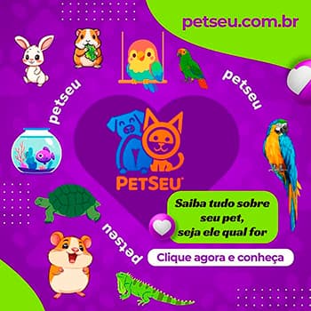 Filmes sobre cães e gatos que educam e divertem 8 Saiba tudo sobre seu pet 1