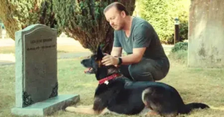After Life: Vocês Vão Ter de Me Engolir — a dor, o cinismo e a ternura na obra mais sentimental de Ricky Gervais